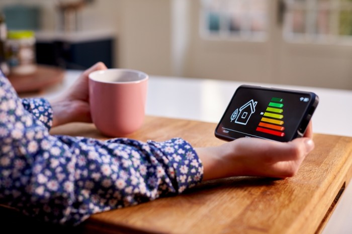 How Can Home Automation Improve Energy Efficiency? How Can Home Automation Improve Energy Efficiency?