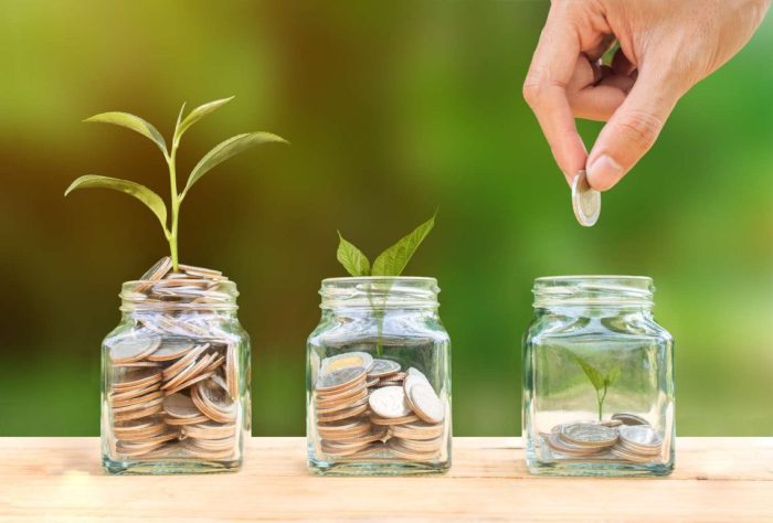 10 Sustainable Living Ideas That Will Save You Money - The Ethical Edit